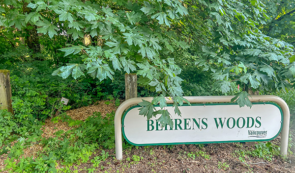 Behrens Woods