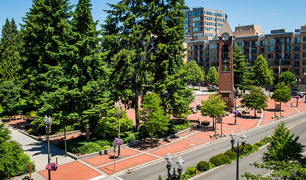 Esther Short Park image from above