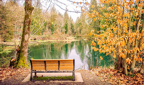 Evergreen Highway Trail at Columbia Springs