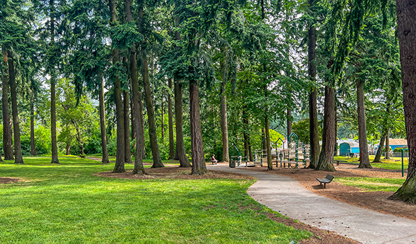 path in Fircrest Park