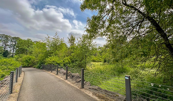 Meadowbrook Marsh