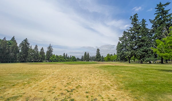 Memory Mill park image of field.