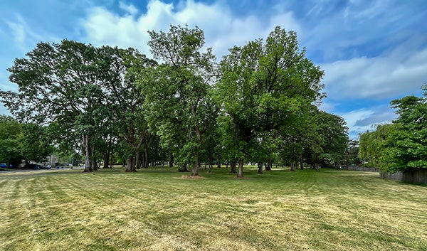 Oakbrook Park