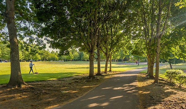 Summer’s Walk Neighborhood Park