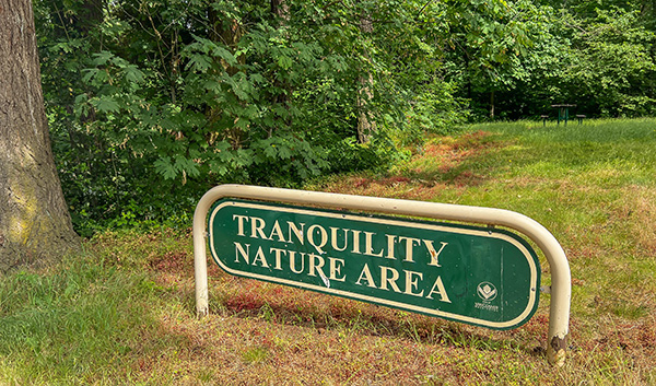 Tranquility Nature Area