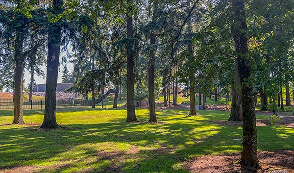 Water Works Park