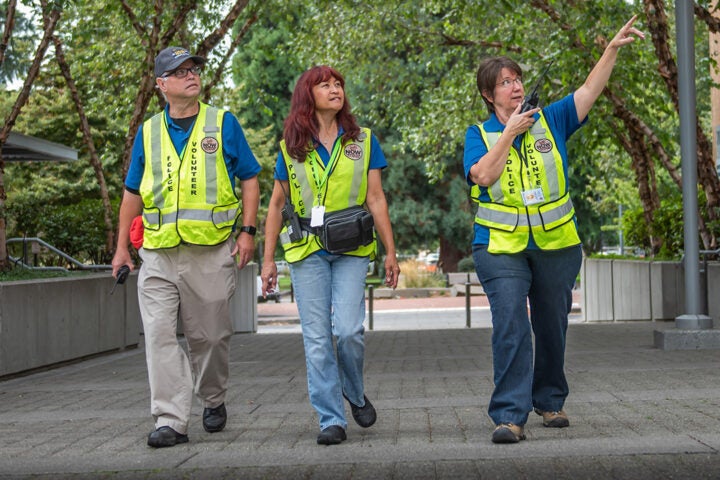 volunteer police