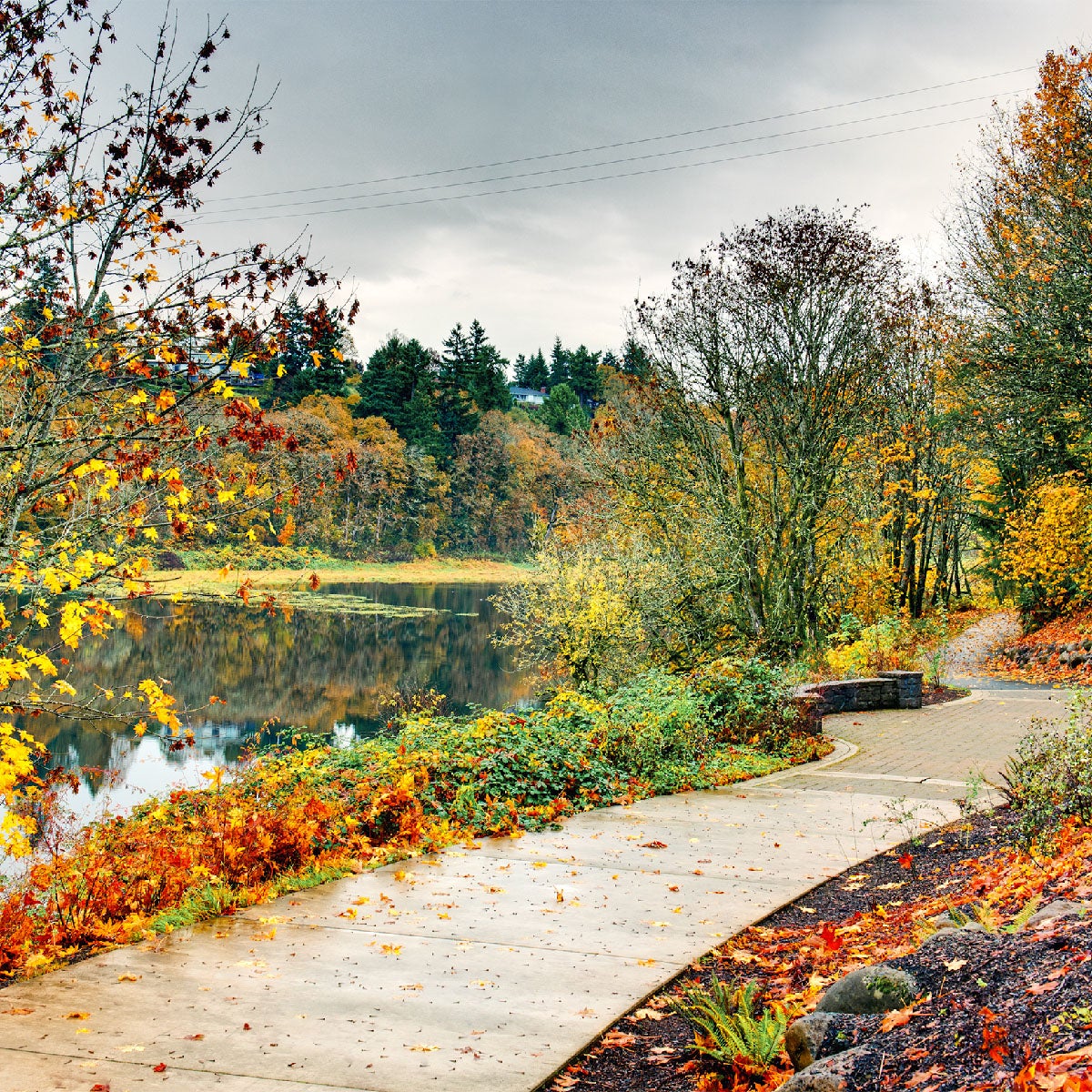 Burnt Bridge creek trail in fall