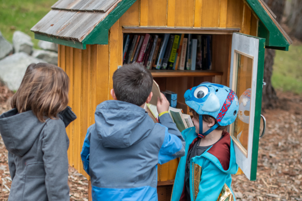 little library