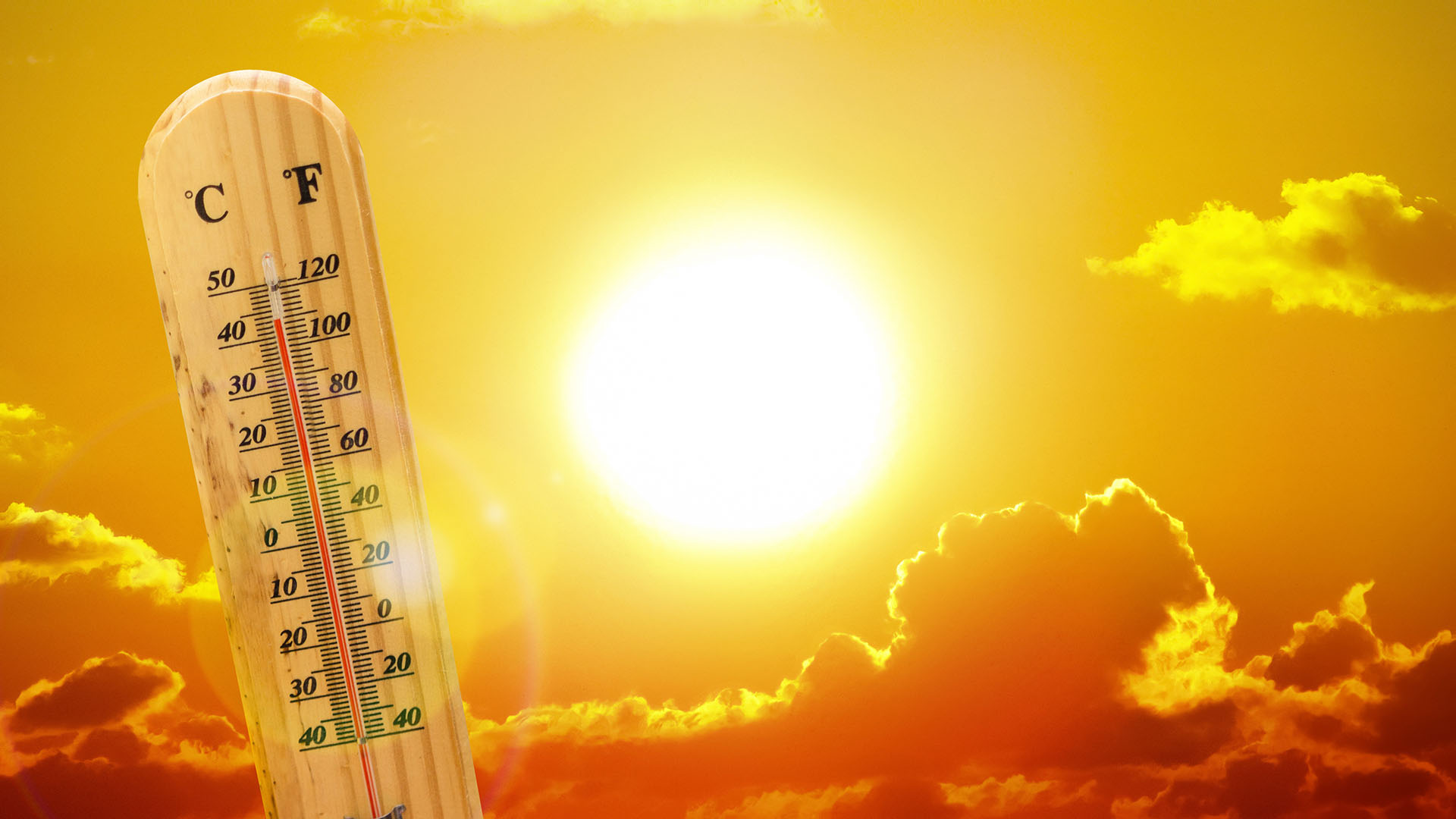Hot Weather Resources