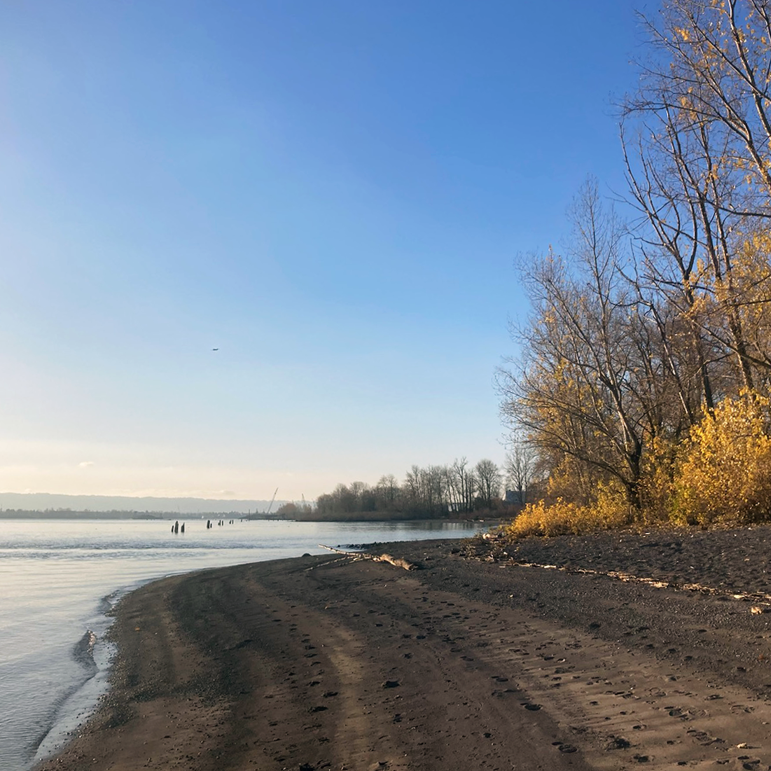 Columbia River Walk: Life on the Edges