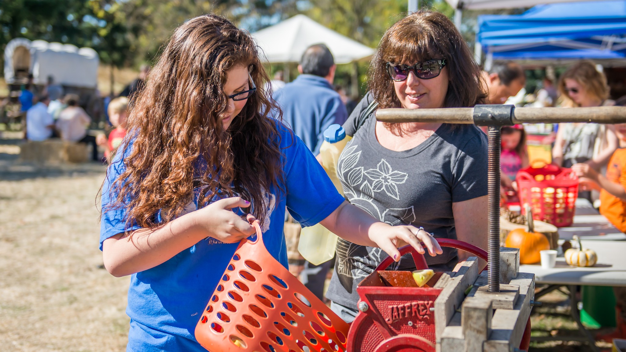 Trees, apples and cider! Vancouver celebrates the Old Apple Tree on Saturday, Oct. 7