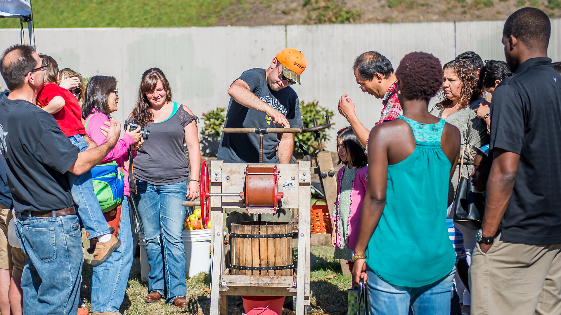 Cider pressing during Vancouver's Old Apple Tree Festival