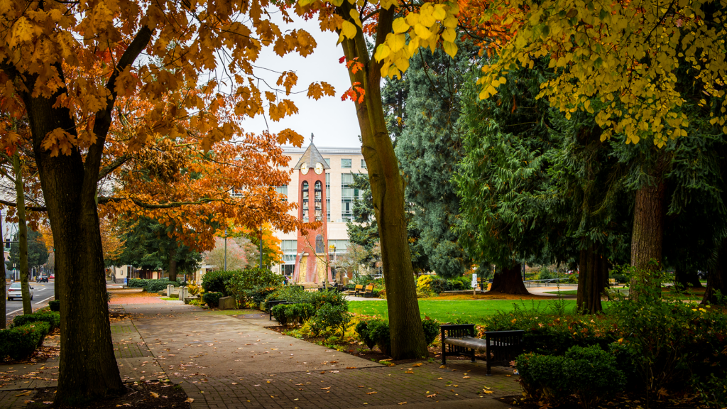 Tree-lined sidewalks in Esther Short Park