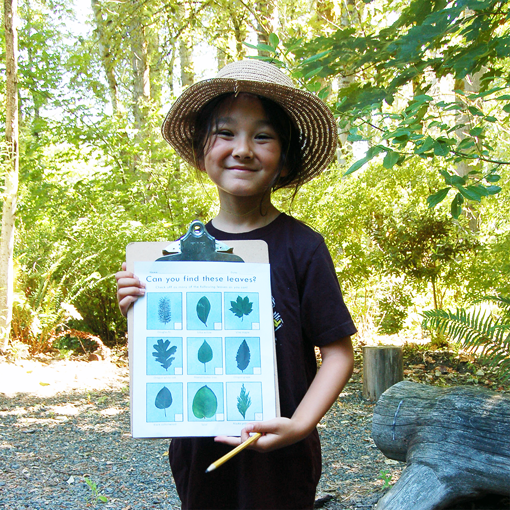 Reading in the Wild leaf finding activity