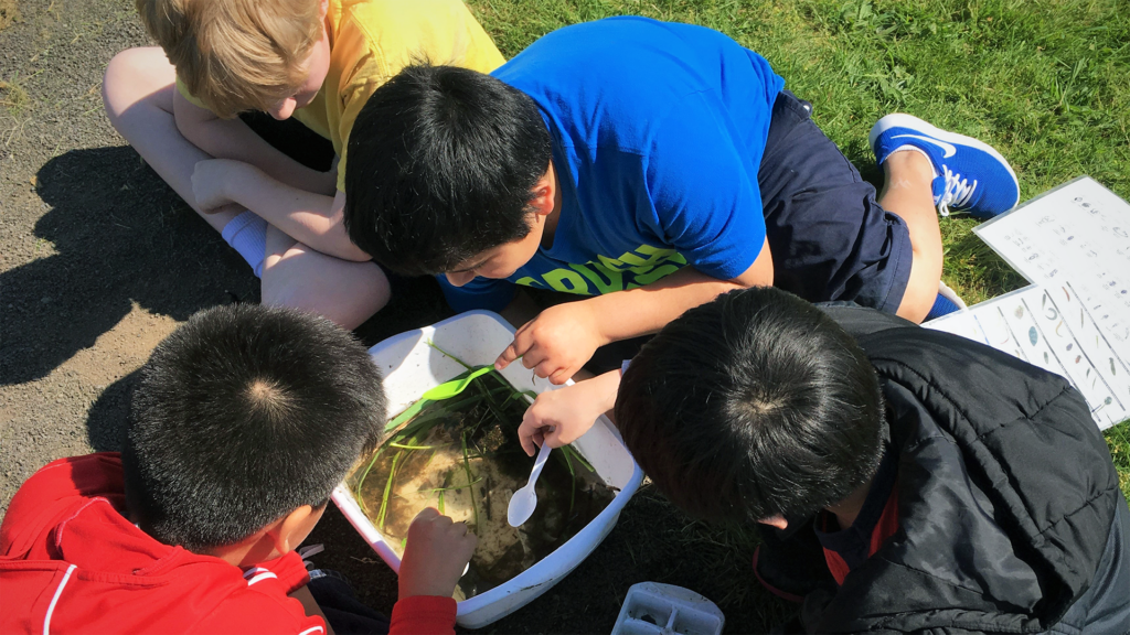 Students monitoring macros in local watershed