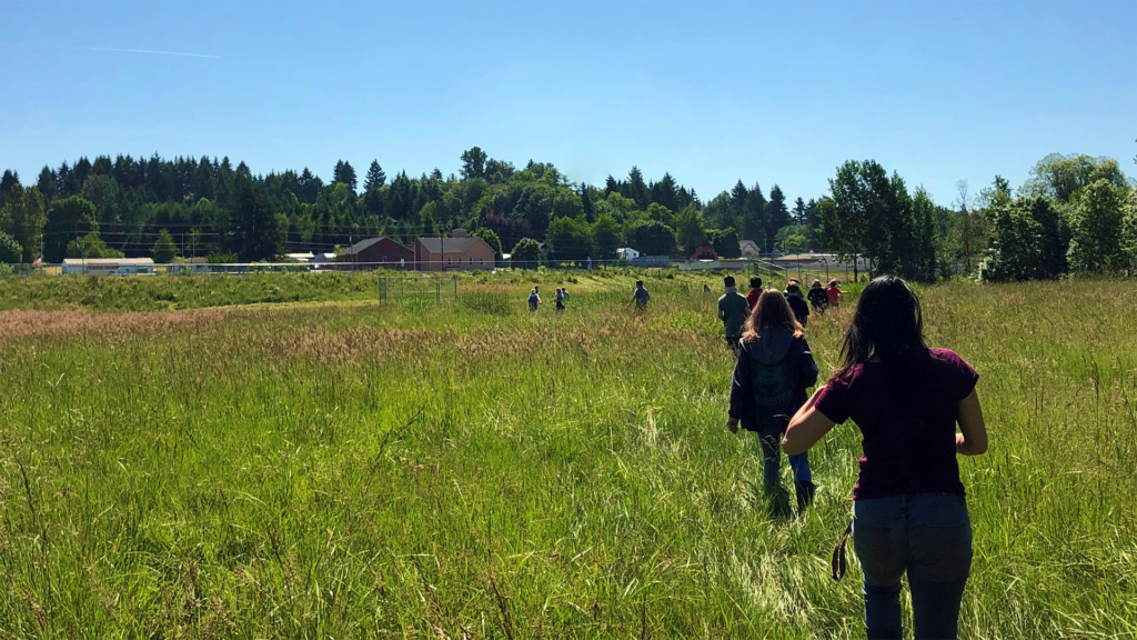 Students monitoring local watershed and wetlands