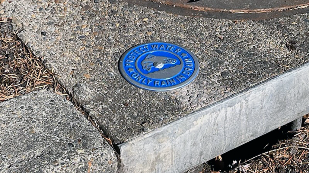 Stormdrain medallion