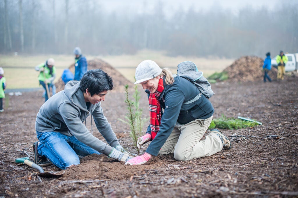 two volunteers kneel in the dirt and smooth dirt over where they plant a small tree