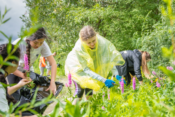 volunteers at a planting event