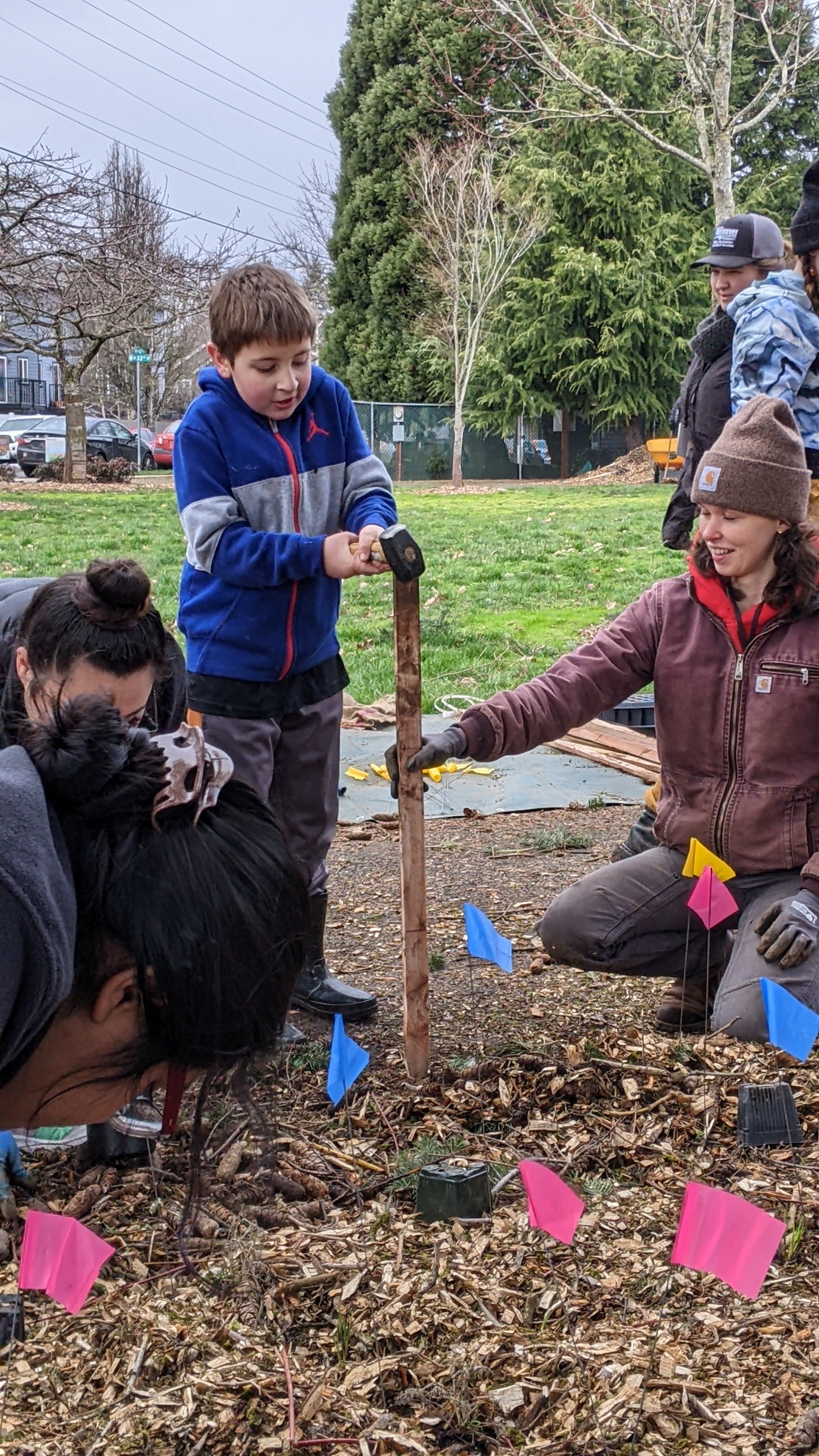 adult volunteer holds stake while child volunteer uses a mallet to put stake in ground