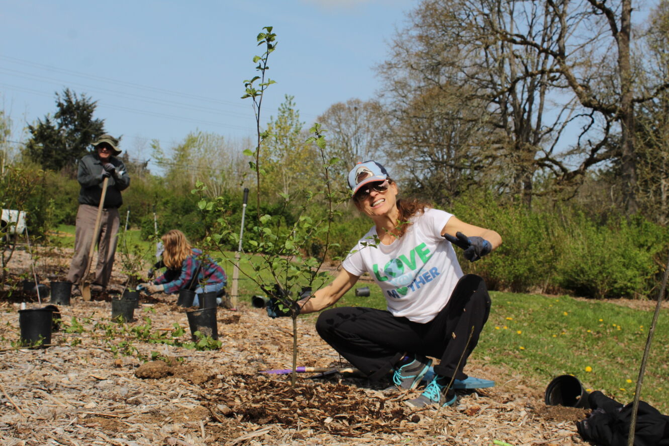 volunteer squats to plant a tree in the dirt