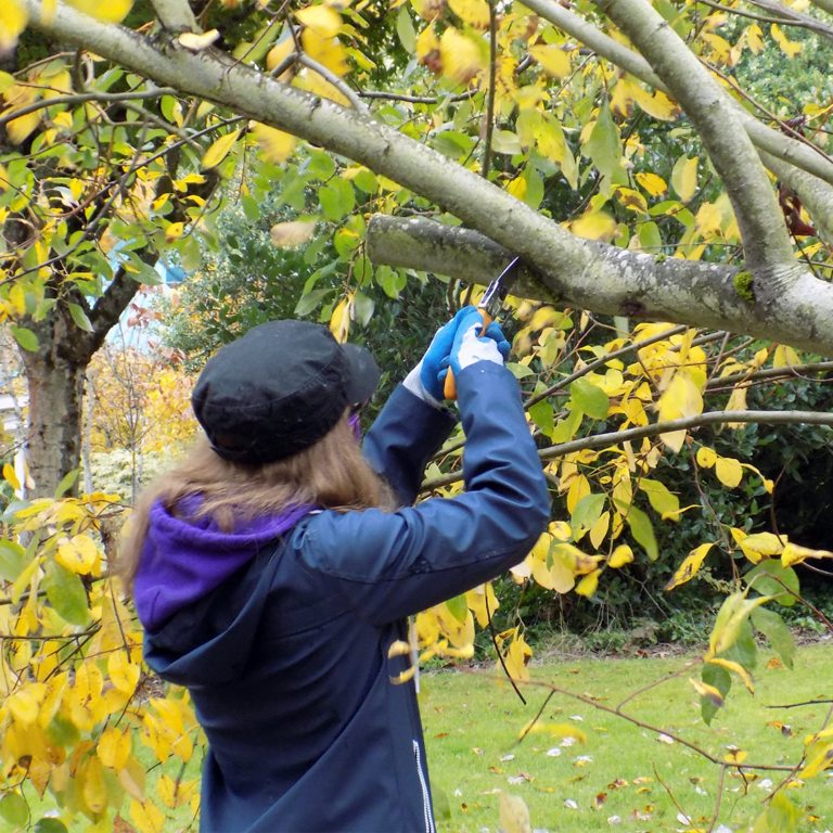 Water Center Garden Cleanup The City of Vancouver, WA