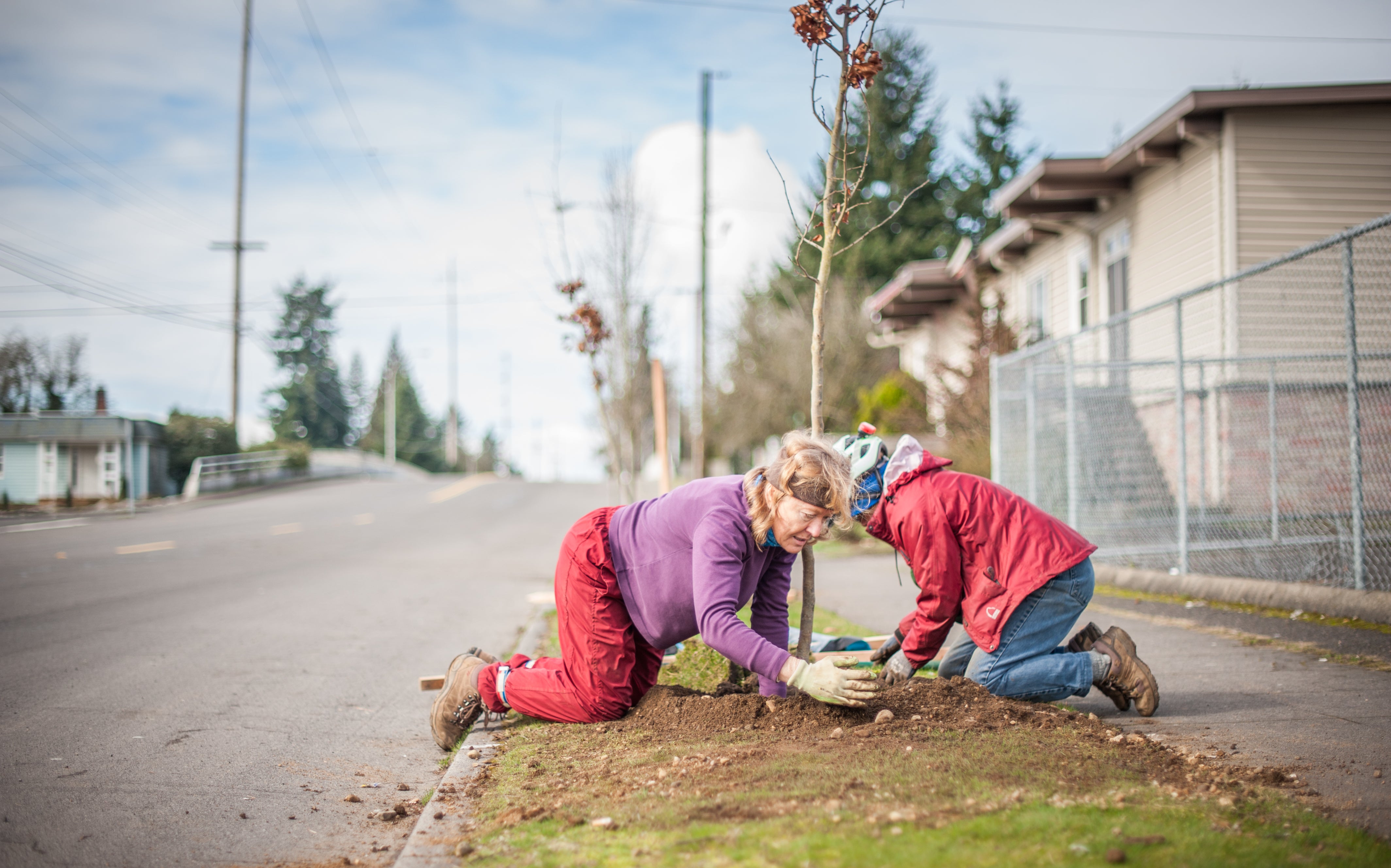 Community tree planting