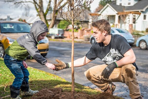 Tree Planting in Oakbrook Neighborhood