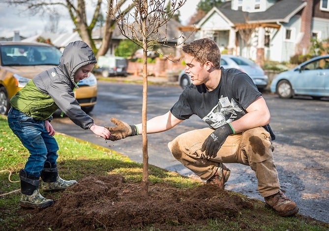 community tree planting