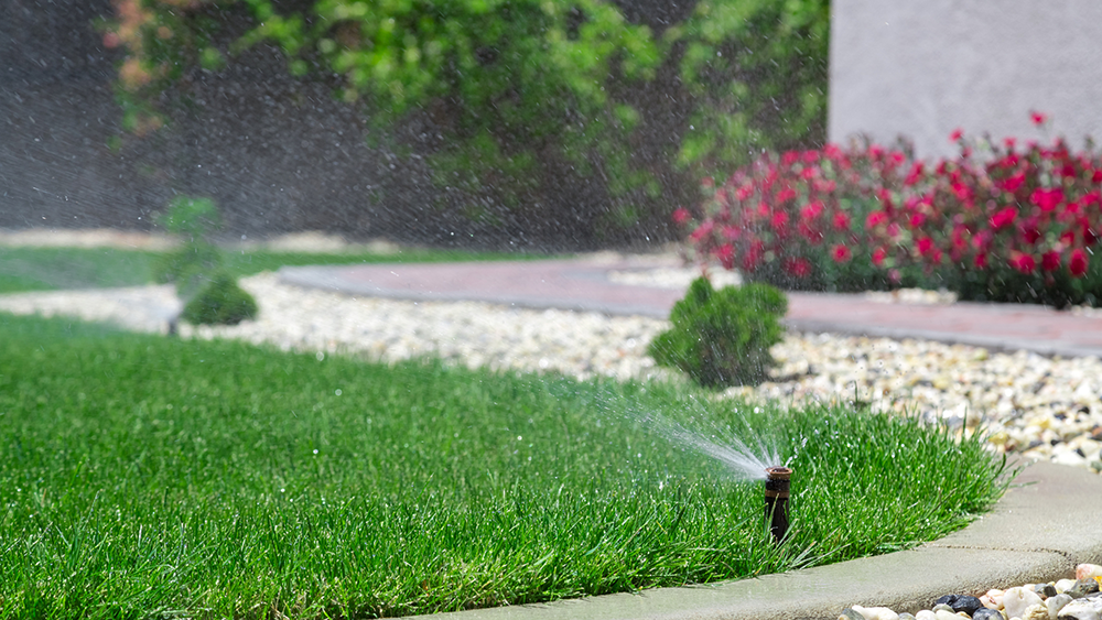 Sprinkler system runs in a yard