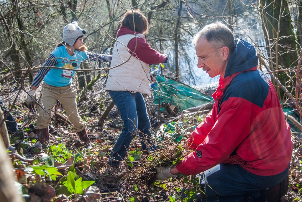 Man and young girls remove ivy from a local park.