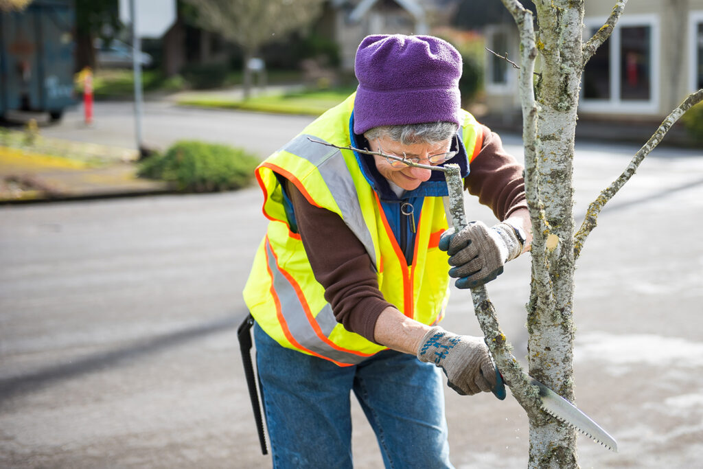 Woman prunes a tree at a hands-on Urban Forestry workshop.