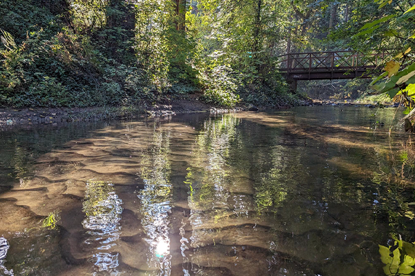 Burnt Bridge Creek waterway with bridge over creek