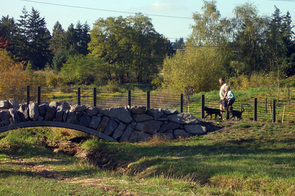 Couple walking dogs along Burnt Bridge Creek pathway