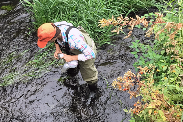 Staffing taking water sample in local creek to help monitor water quality
