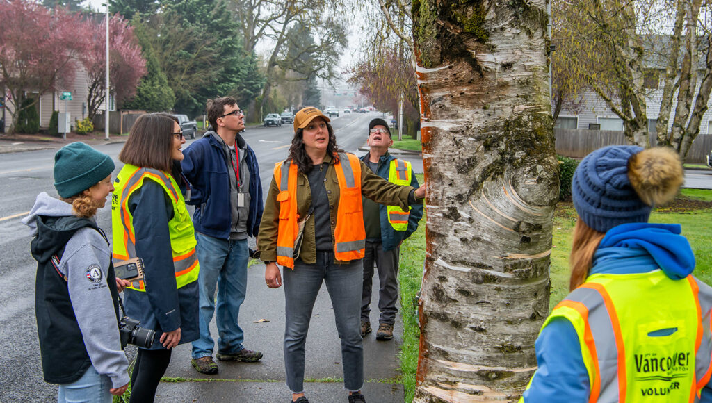 Urban forestry on a tree tour