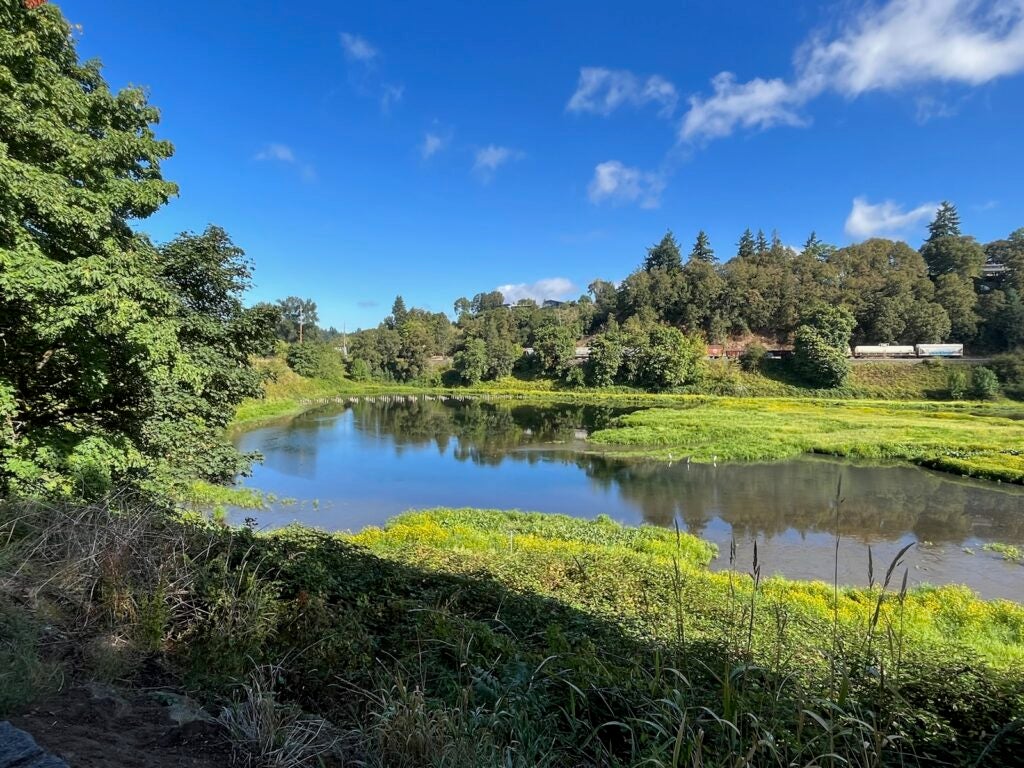 Sunny day at Burnt Bridge Creek