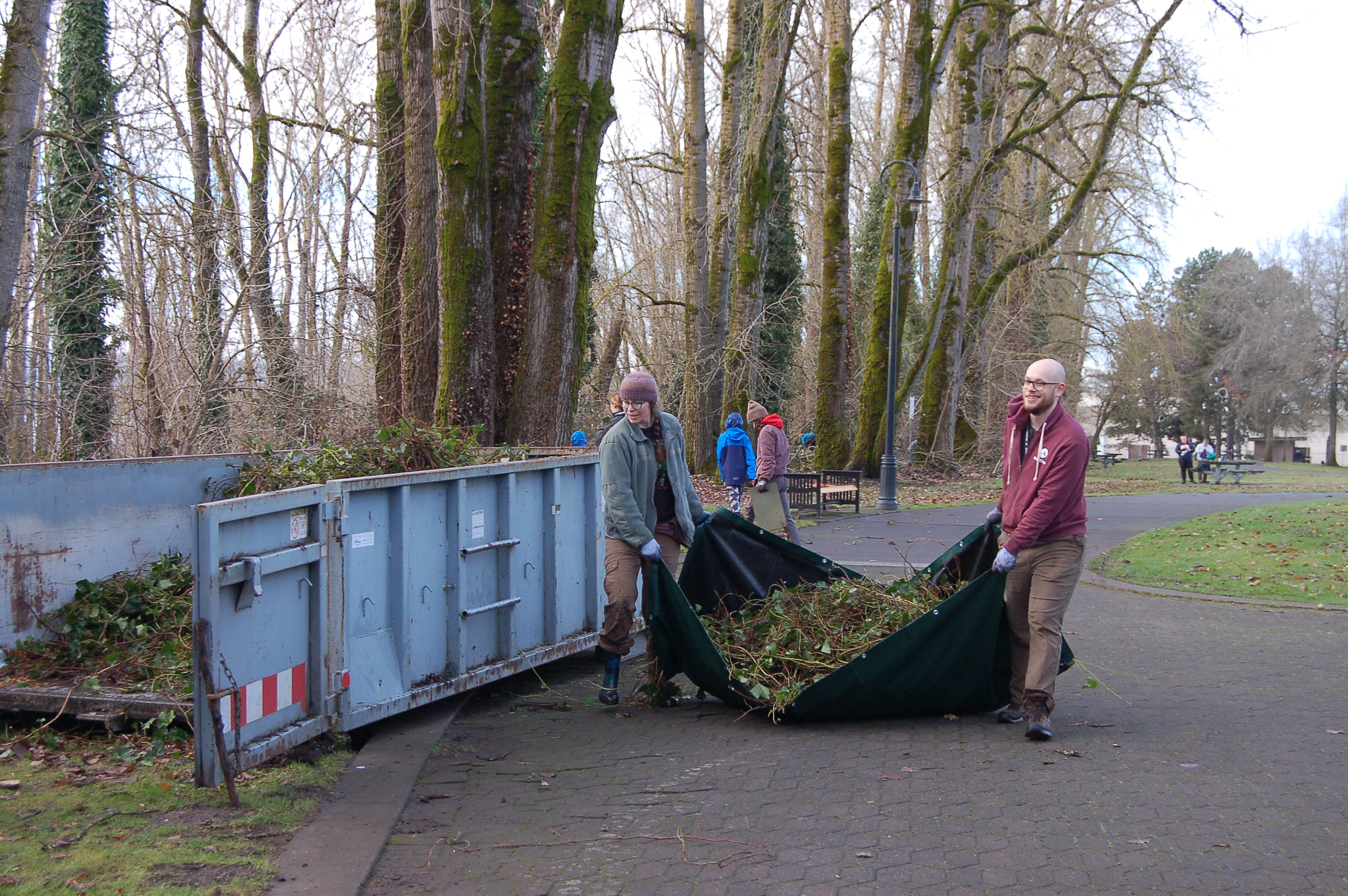 Two volunteers remove ivy