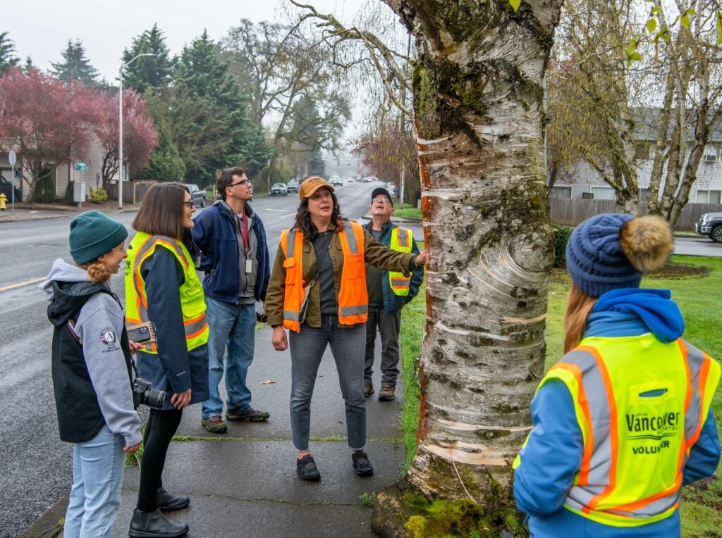 Urban forestry staff leads a community tree tour