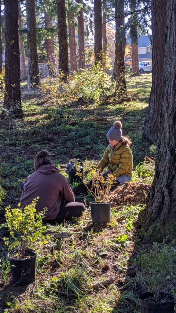 two volunteers sit on the ground with potted plants nearby