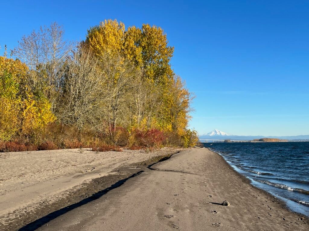 View of beach during autumn with fall colors and blue sky.