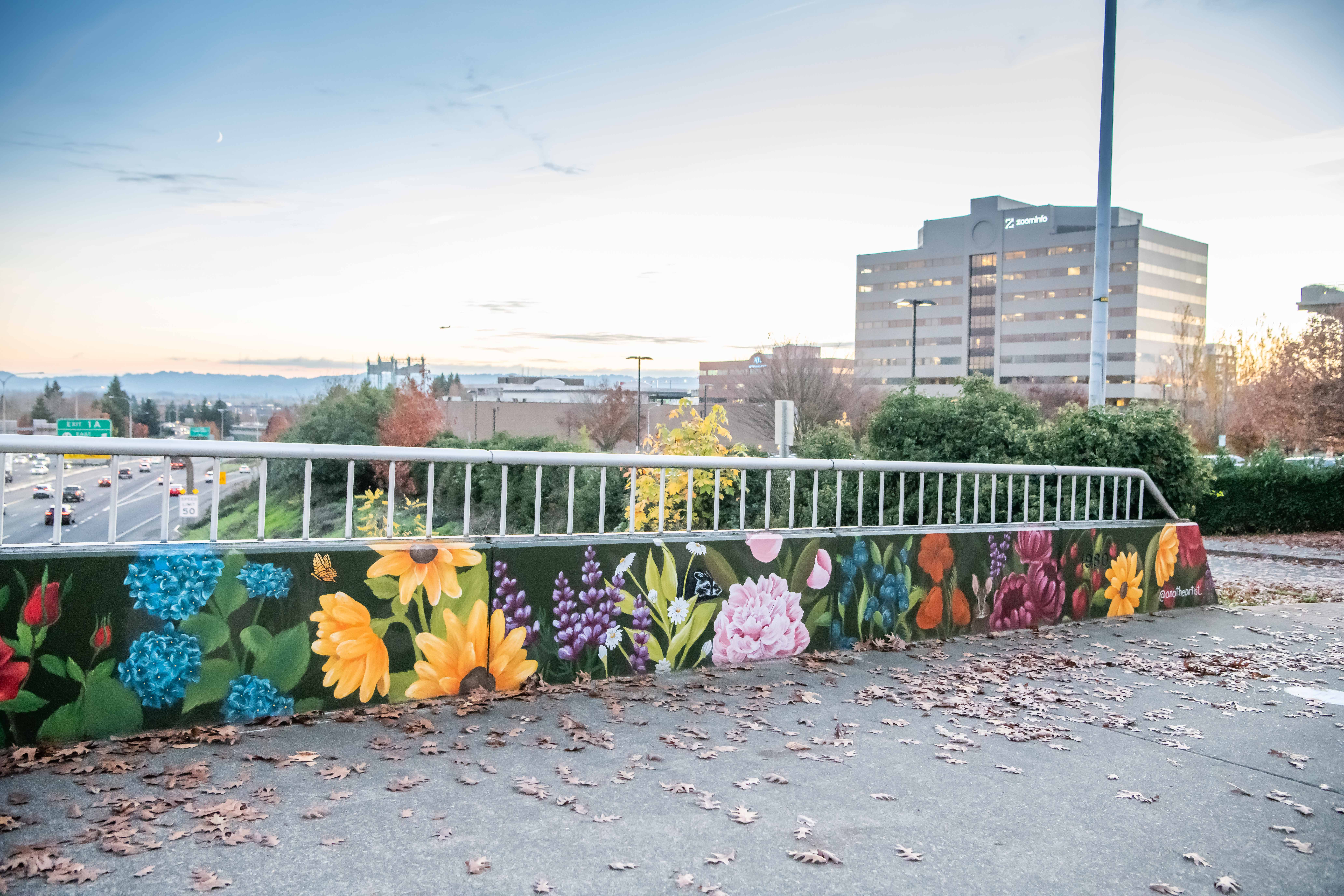 $30 million in federal funding for Community Connector Lid project awarded
