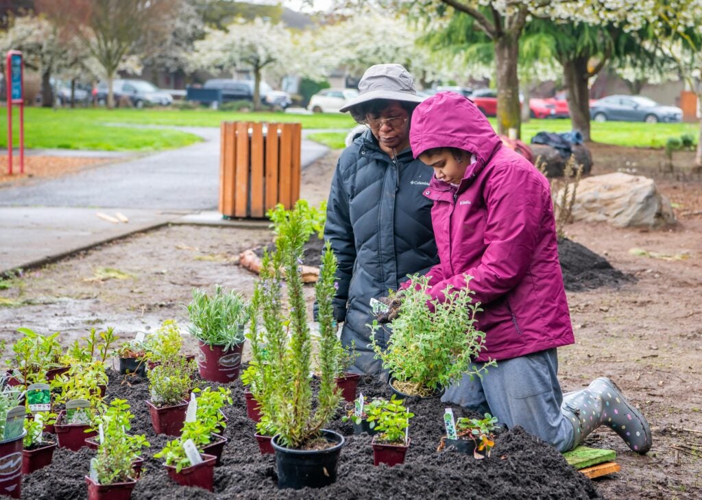 two volunteers installing plants