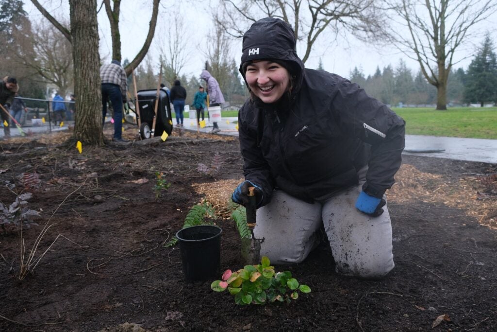 volunteer crouches with plants around