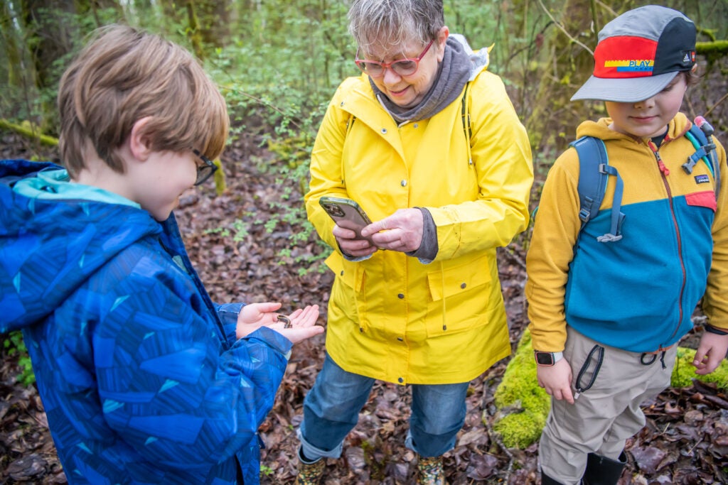 People taking a picture of a long-toed salamander during a BioBlitz.
