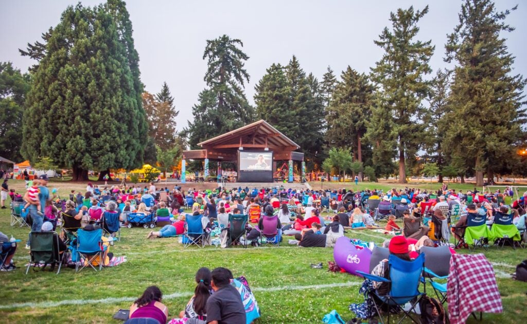 Friday Night Movies in the Park