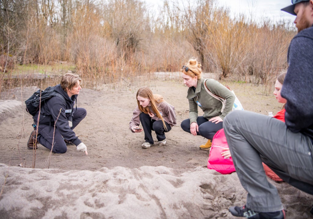 people tracking a beaver on the beach