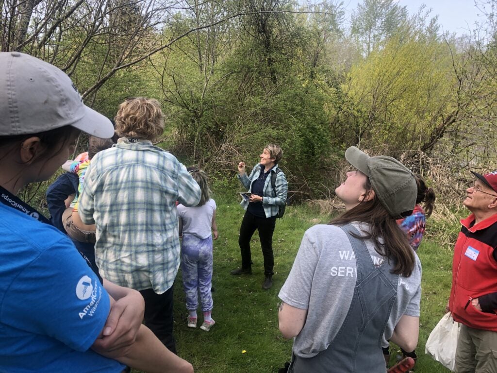 People looking up at a bird in tree