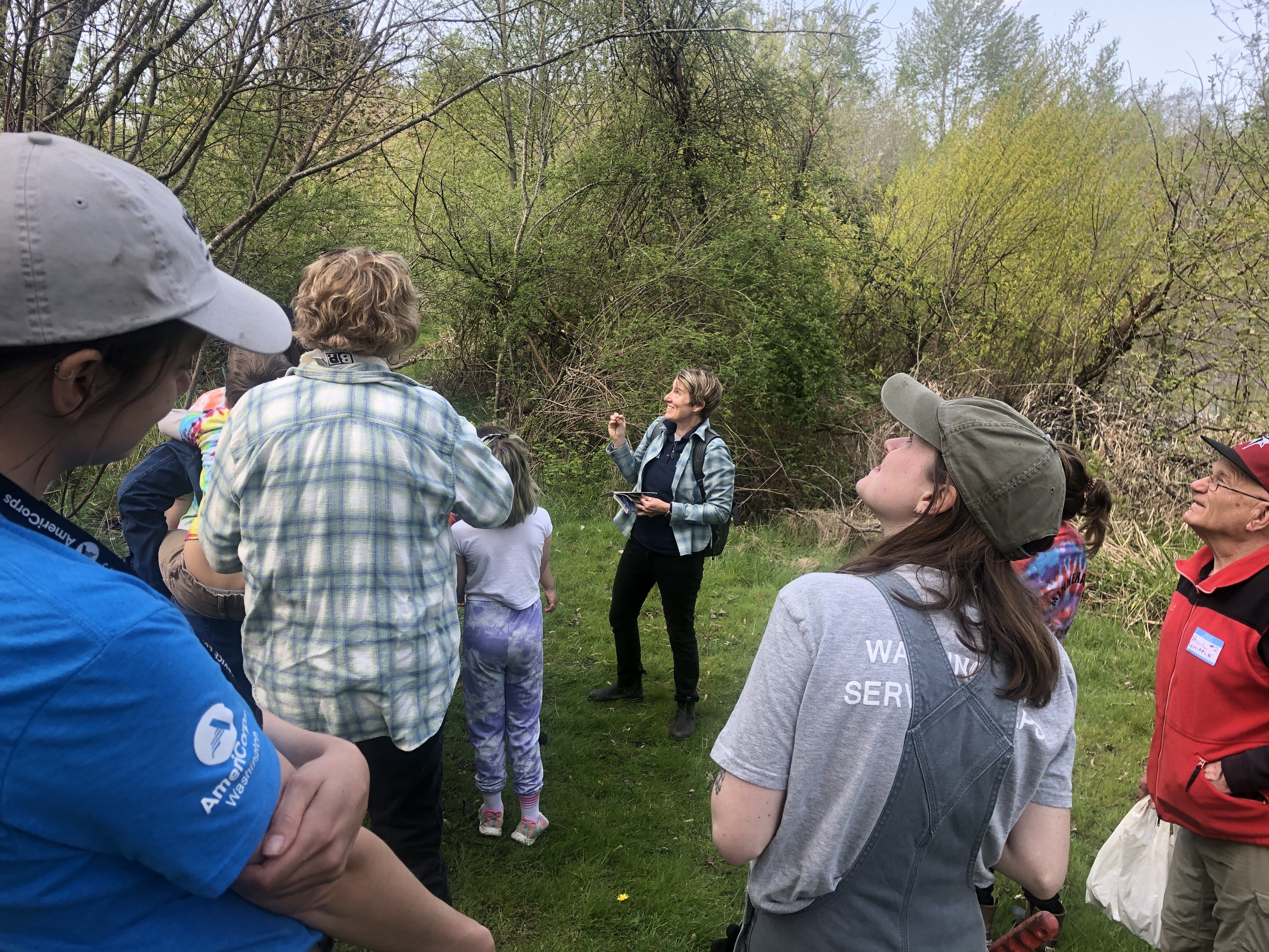 People looking up at a bird in tree